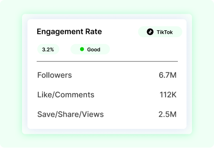 TikTok Engagement Calculator